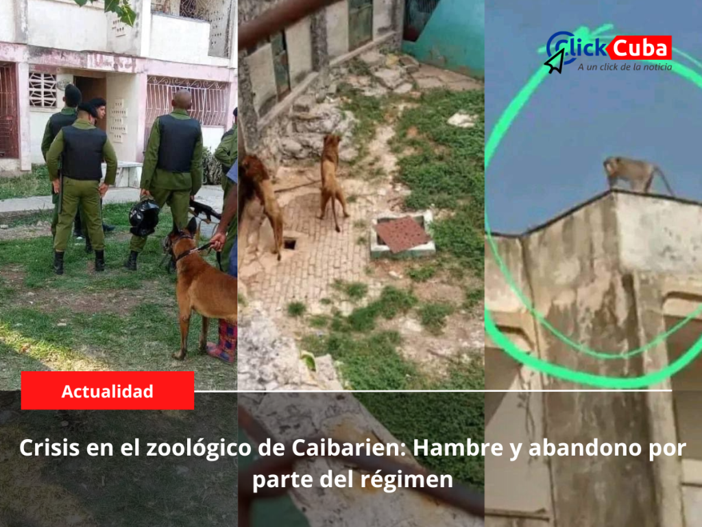 Crisis en el Zoológico de Caibarien: Hambre y Abandono por parte del&nbsp;Régimen