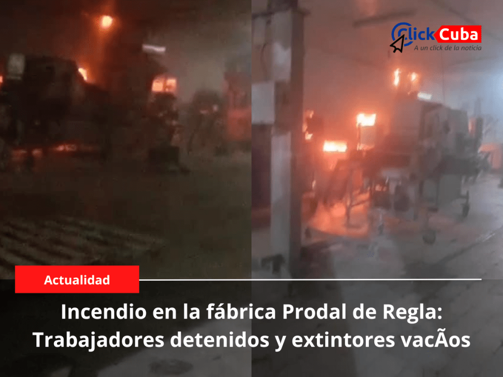 Incendio en la Fábrica Prodal de Regla: Trabajadores detenidos y extintores&nbsp;vacíos