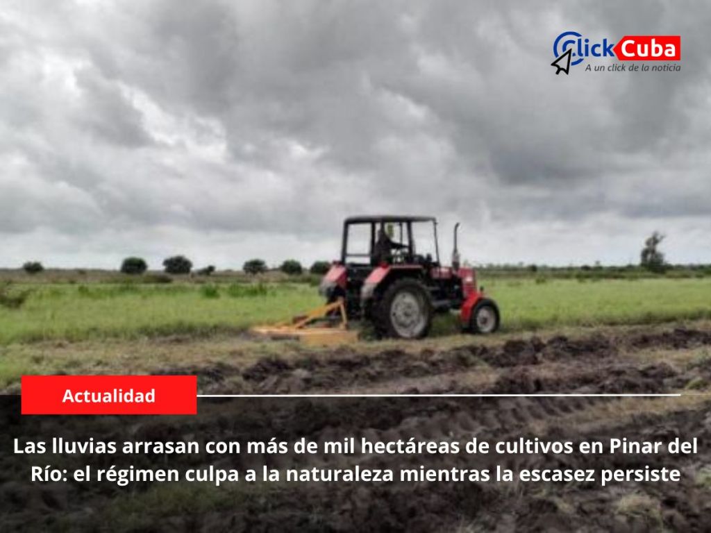 Las lluvias arrasan con más de mil hectáreas de cultivos en Pinar del Río: el régimen culpa a la naturaleza mientras la escasez&nbsp;persiste