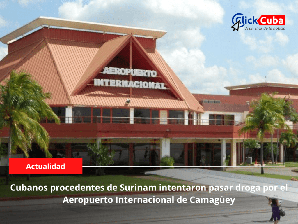 Cubanos procedentes de Surinam intentaron pasar droga por el Aeropuerto Internacional de&nbsp;Camagüey