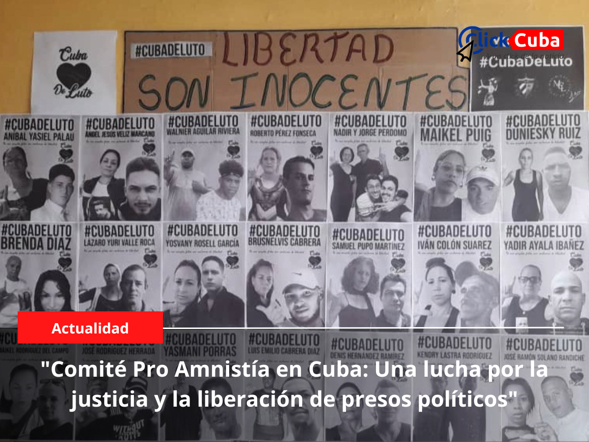 «Comité Pro Amnistía en Cuba: Una lucha por la justicia y la liberación de presos políticos»