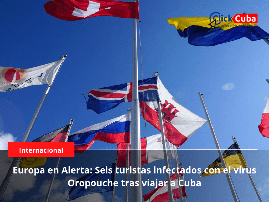 Europa en Alerta: Seis turistas infectados con el virus Oropouche tras viajar a&nbsp;Cuba