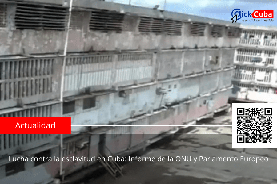 Lucha contra la esclavitud en Cuba: Informe de la ONU y Parlamento&nbsp;Europeo