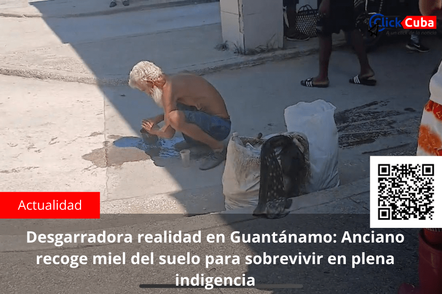 Desgarradora realidad en Guantánamo: Anciano recoge miel del suelo para sobrevivir en plena&nbsp;indigencia