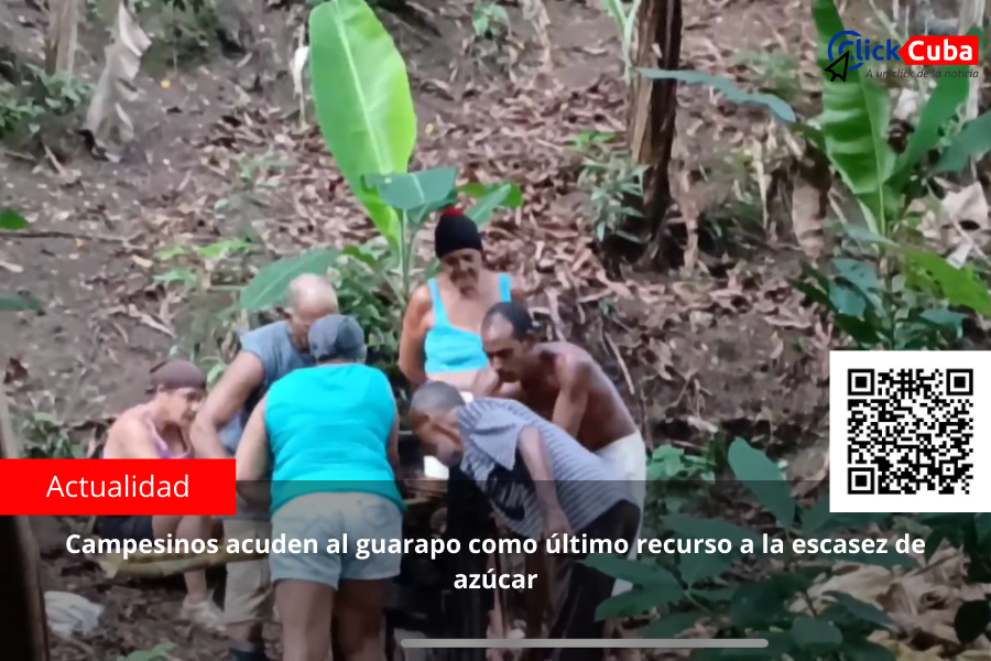 Campesinos acuden al guarapo como último recurso a la escasez de&nbsp;azúcar