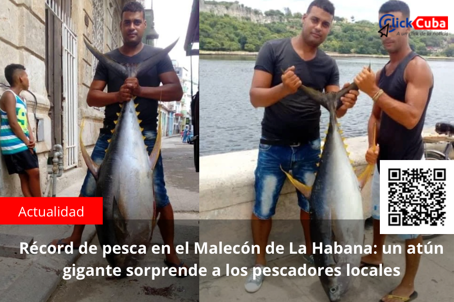 Récord de pesca en el Malecón de La Habana: un atún gigante sorprende a los pescadores&nbsp;locales