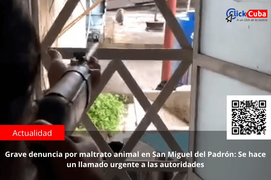 Grave denuncia por maltrato animal en San Miguel del Padrón: Se hace un llamado urgente a las&nbsp;autoridades