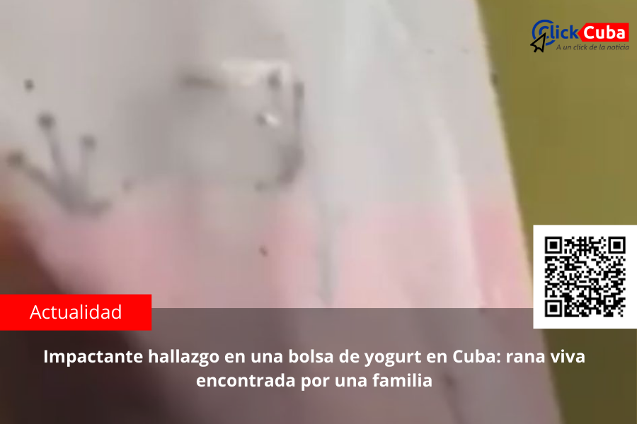 Impactante hallazgo en una bolsa de yogurt en Cuba: rana viva encontrada por una familia