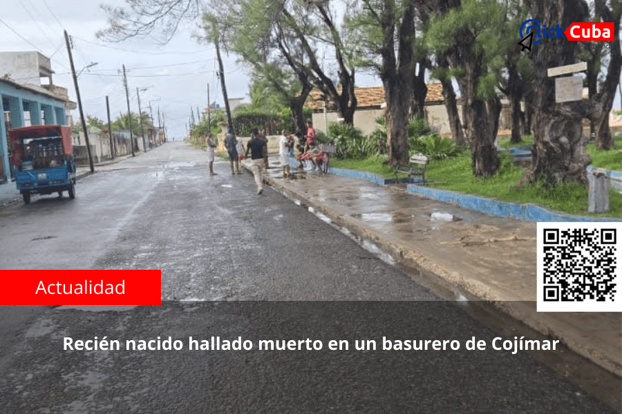 Recién nacido hallado muerto en un basurero de Cojímar: las autoridades buscan&nbsp;respuestas