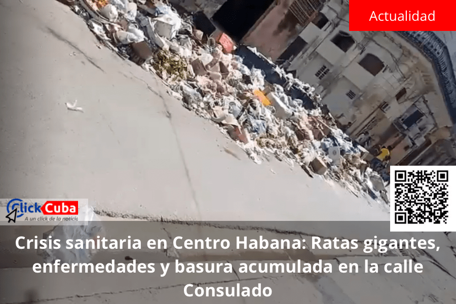 Crisis sanitaria en Centro Habana: Ratas gigantes, enfermedades y basura acumulada en la calle&nbsp;Consulado