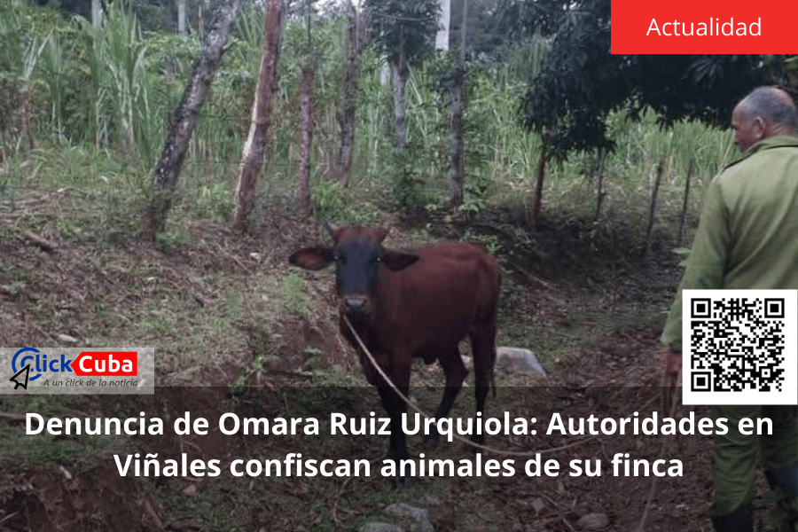 Denuncia de Omara Ruiz Urquiola: Autoridades en Viñales confiscan animales de su&nbsp;finca