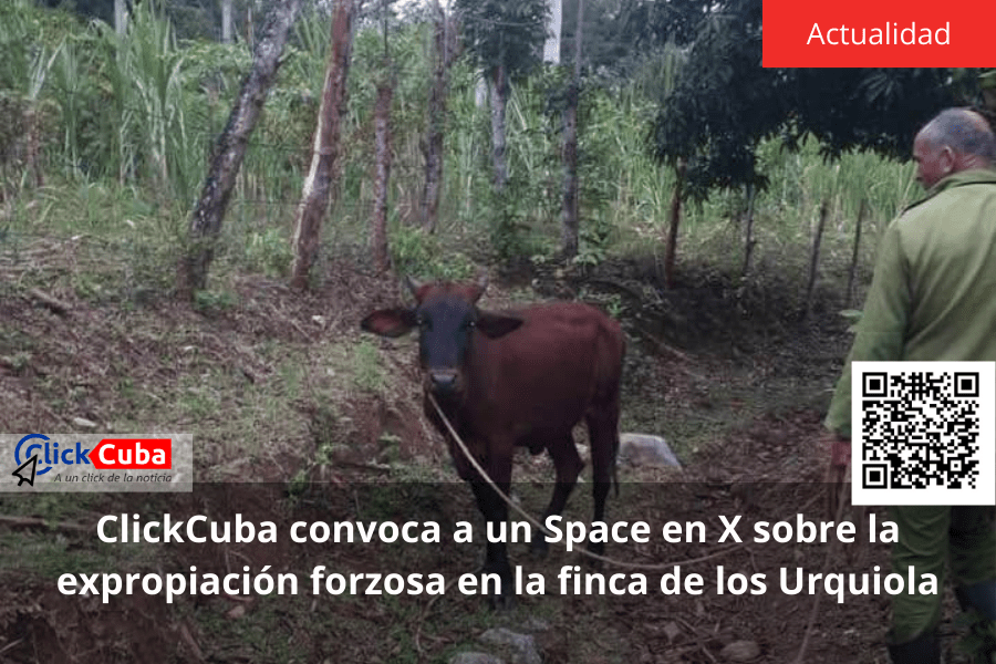 ClickCuba convoca a un Space en X sobre la expropiación forzosa en la finca de los&nbsp;Urquiola