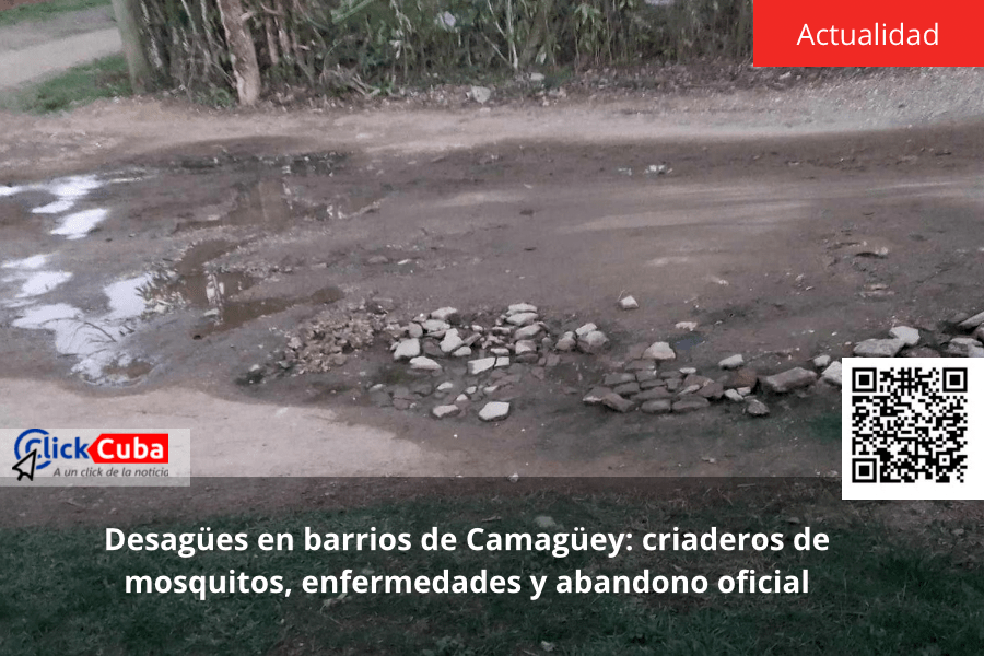 Desagües en barrios de Camagüey: criaderos de mosquitos, enfermedades y abandono&nbsp;oficial