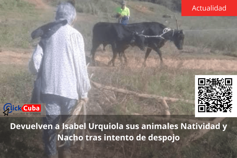 Devuelven a Isabel Urquiola sus animales Natividad y Nacho tras intento de&nbsp;despojo