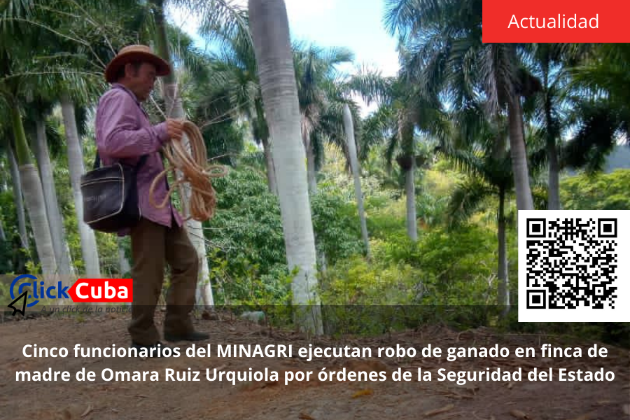 Cinco funcionarios del MINAGRI ejecutan robo de ganado en finca de madre de Omara Ruiz Urquiola por órdenes de la Seguridad del&nbsp;Estado