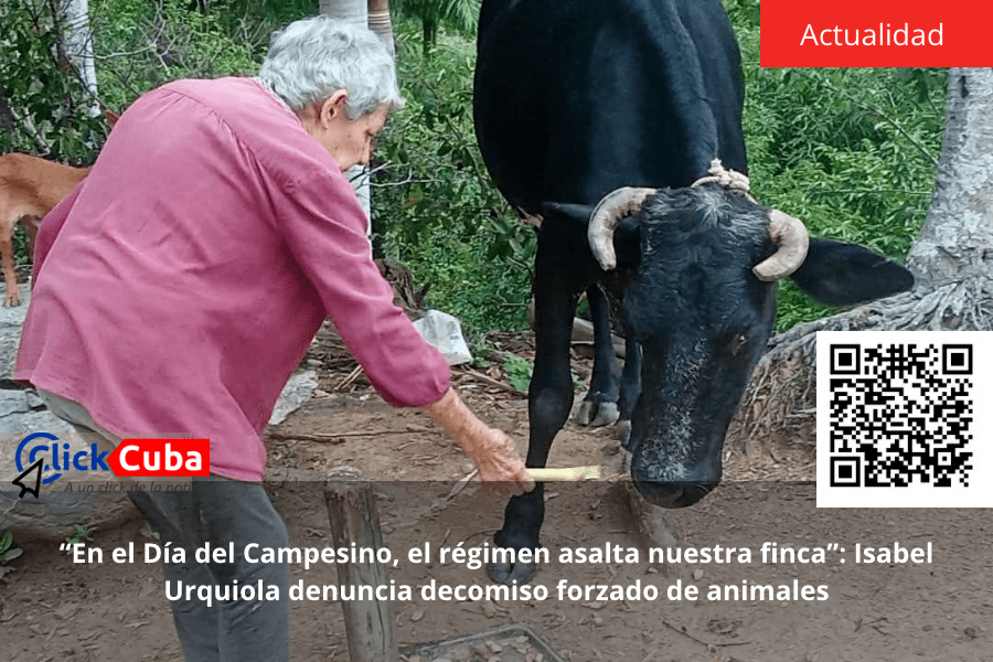 “En el Día del Campesino, el régimen asalta nuestra finca”: Isabel Urquiola denuncia decomiso forzado de&nbsp;animales