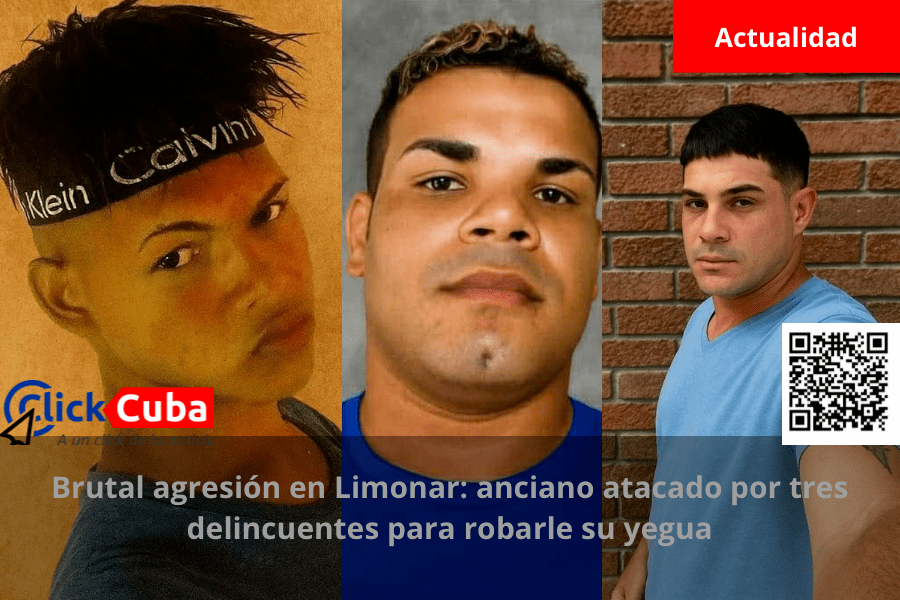 Brutal agresión en Limonar: anciano atacado por tres delincuentes para robarle su&nbsp;yegua
