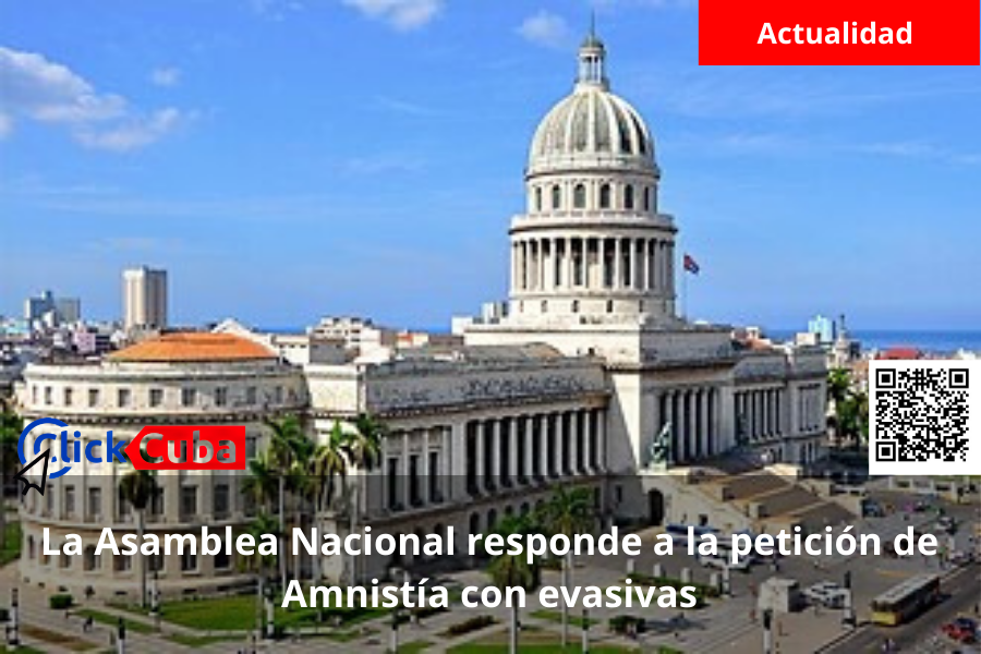 La Asamblea Nacional responde a la petición de Amnistía con evasivas