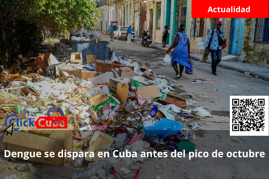 Dengue se dispara en Cuba: los casos superan siete veces lo esperado y el pico aún está por llegar